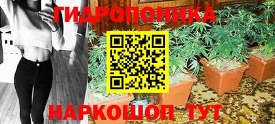 ГАЛЛЮЦИНОГЕННЫЕ ГРИБЫ Моздок