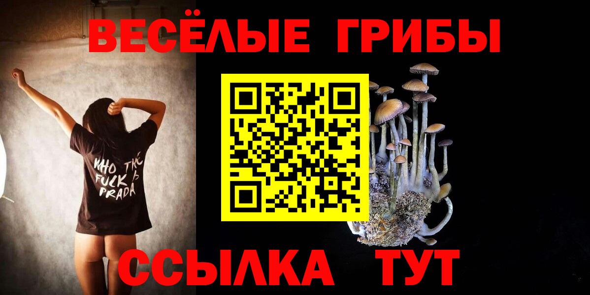 Галлюциногенные грибы прущие грибы Вышний Волочёк