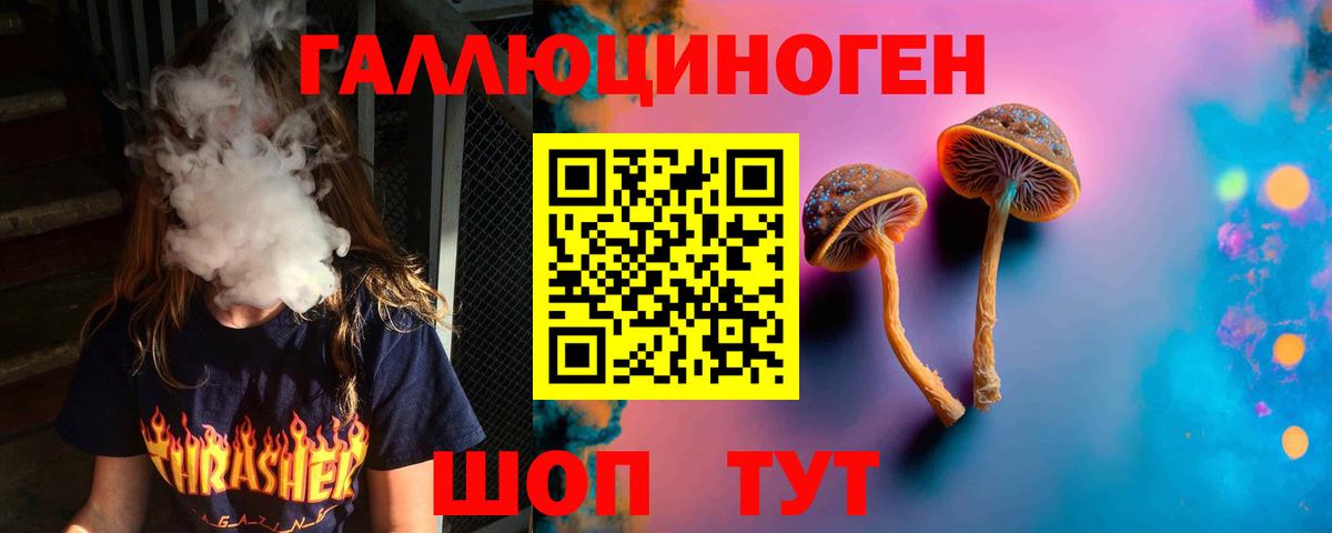Псилоцибиновые грибы Psilocybine cubensis  Вход с VPN  Вышний Волочёк 